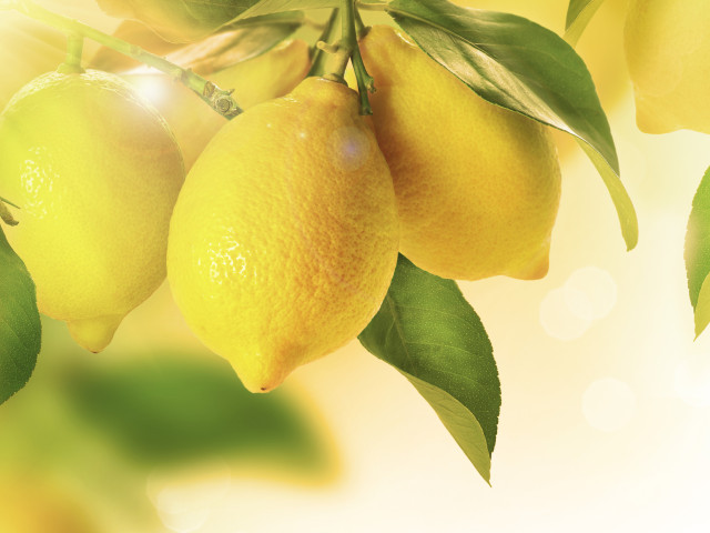1.citrus