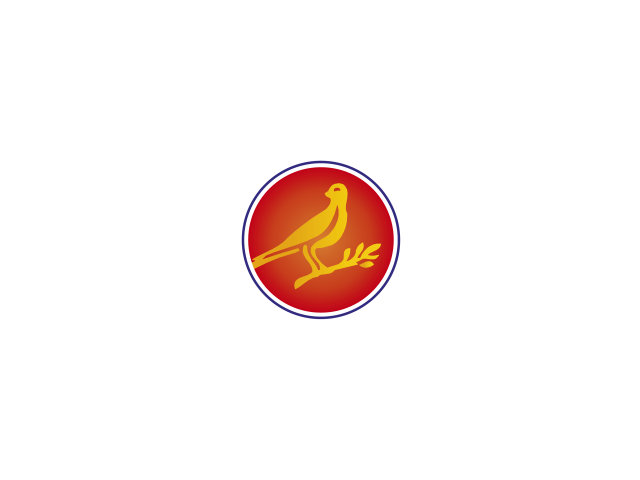 EN Tomaten4